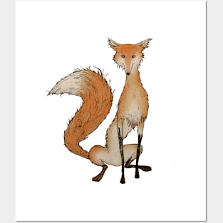 Thin Fox Illustration Posters and Art